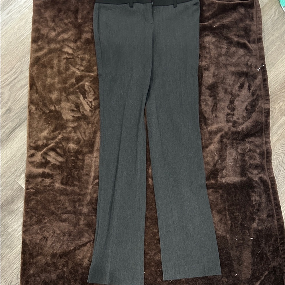 Express Charcoal Editor Pants
